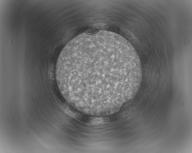 X0000072520083200608111731