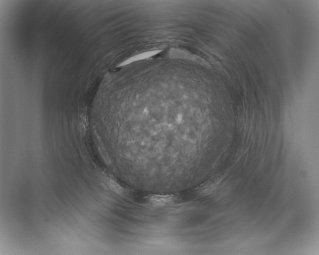 X0000072520085200608111731