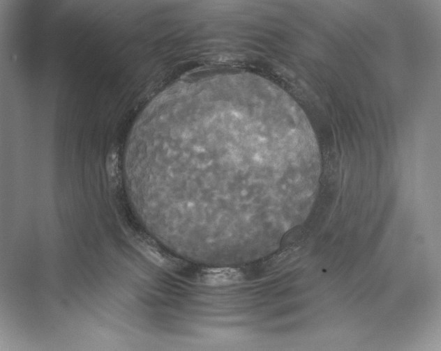 X0000072520087200608111731