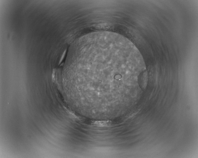 X0000072520089200608111731