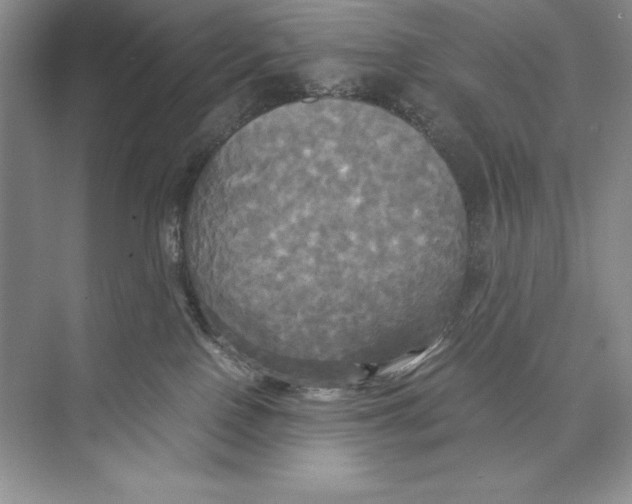 X0000072520090200608111731