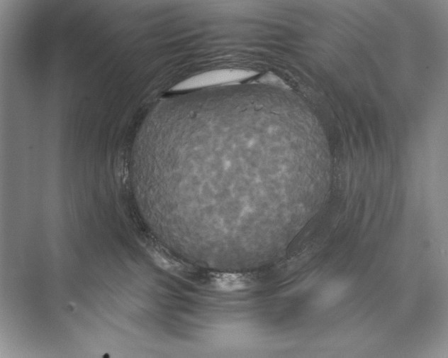 X0000072520091200608111731