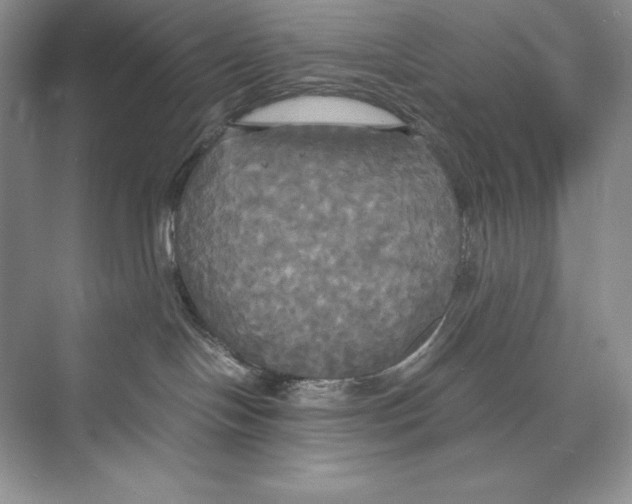 X0000072520094200608111731