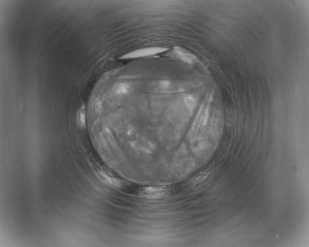 X0000072520095200608111731