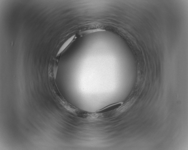 X0000072520096200608111731