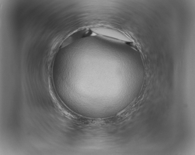 X0000072520097200608111731