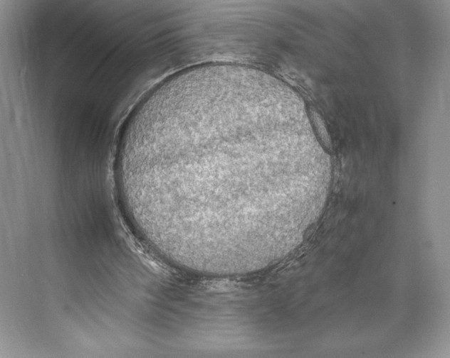 X0000072520098200608111731