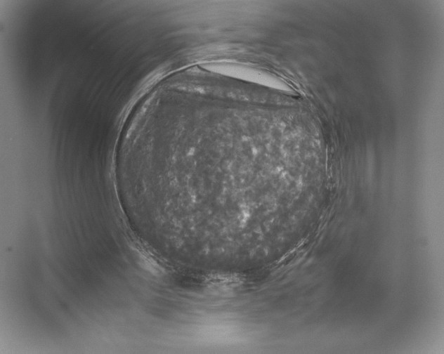 X0000072520099200608111731