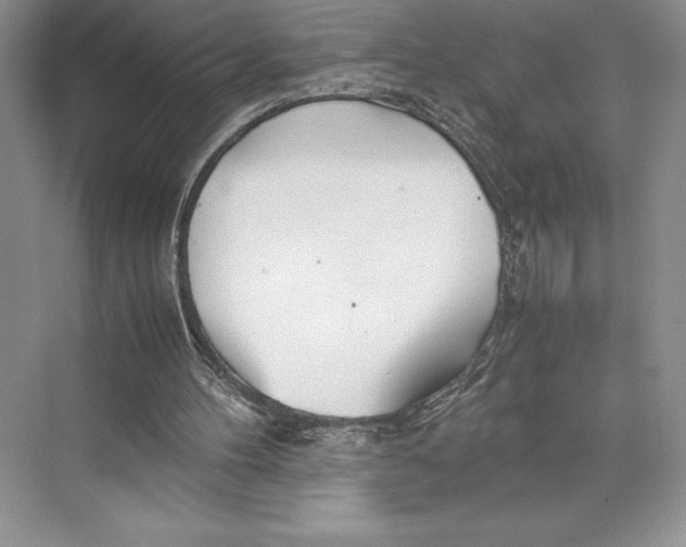 X0000072520100200608111731