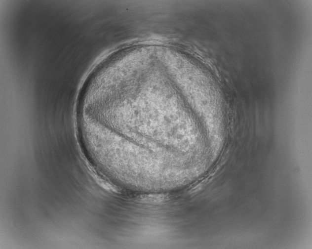 X0000072520102200608111730