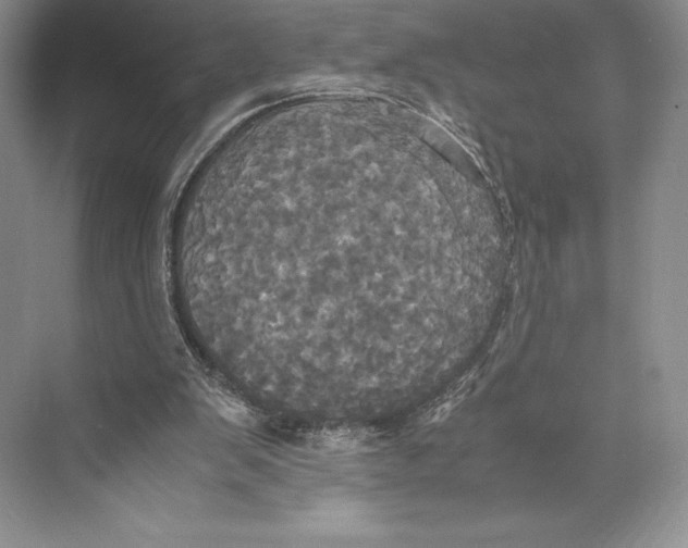 X0000072520103200608111730