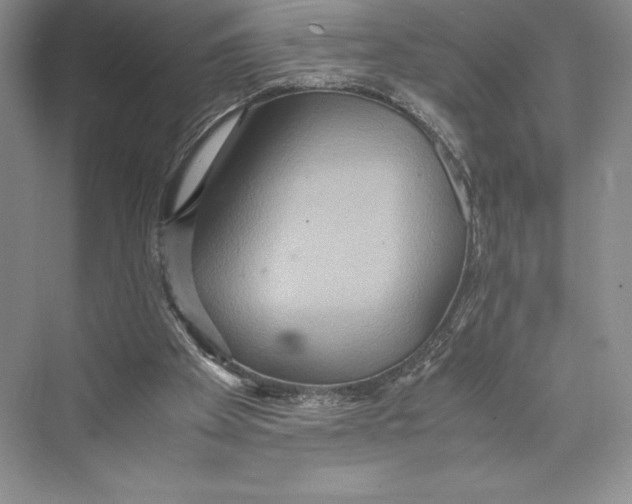 X0000072520105200608111730