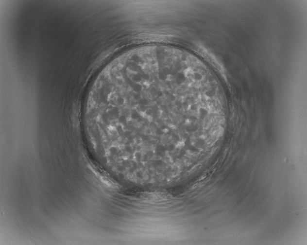 X0000072520107200608111730