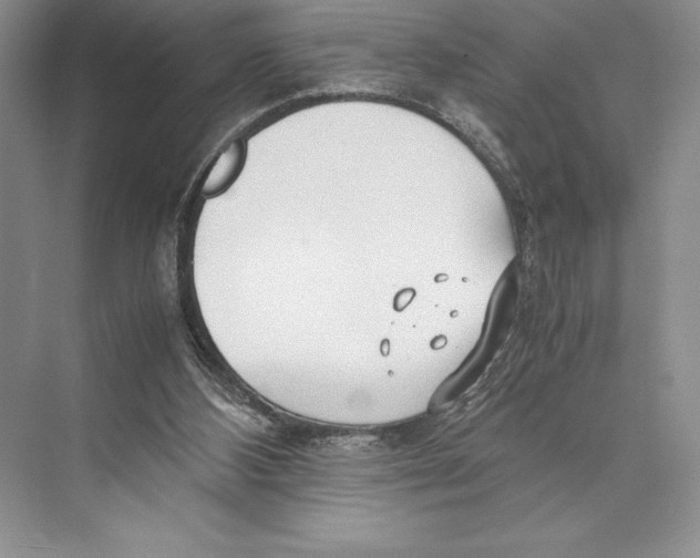 X0000072520108200608111730