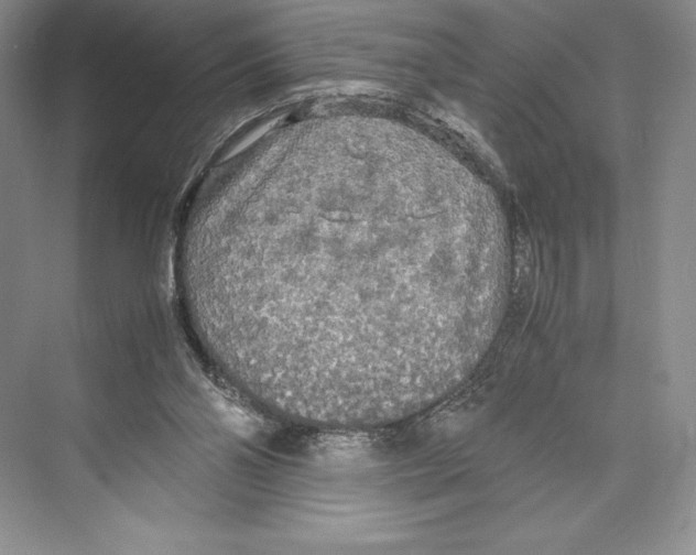 X0000072520110200608111730