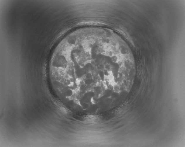 X0000072520111200608111730