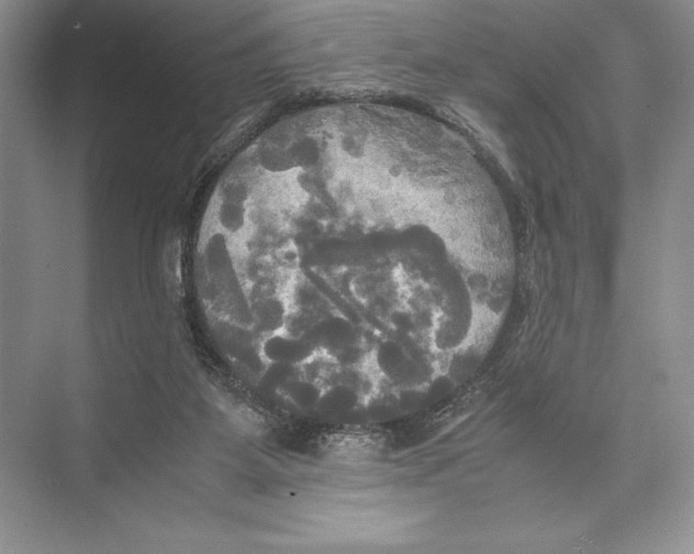 X0000072520115200608111730