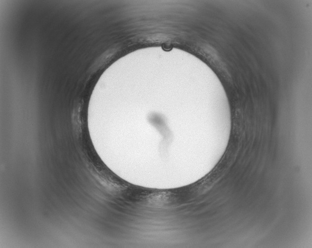 X0000072520116200608111730