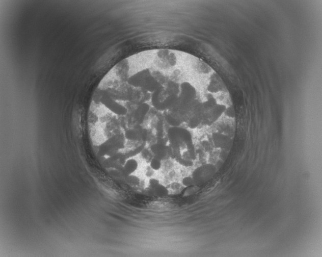 X0000072520119200608111730