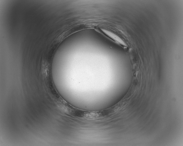 X0000072520125200608111730