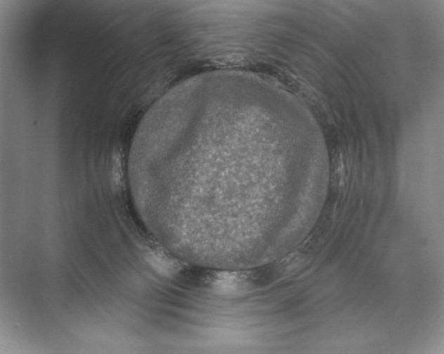 X0000072520130200608111730