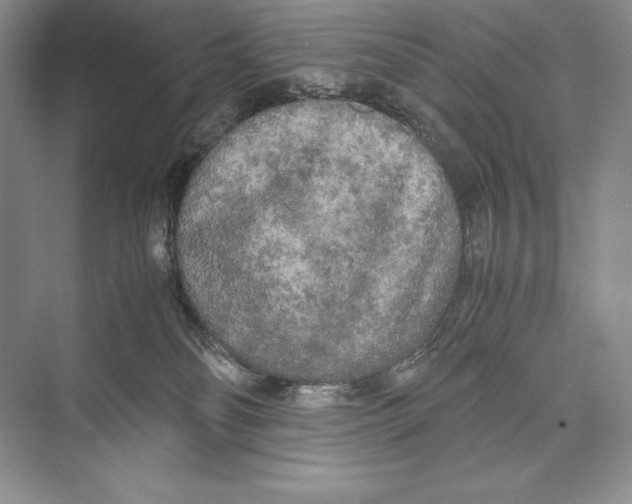 X0000072520134200608111730