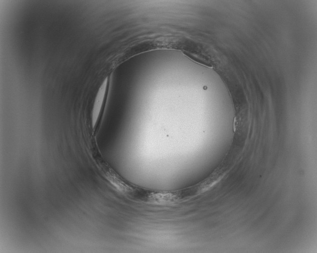 X0000072520137200608111730