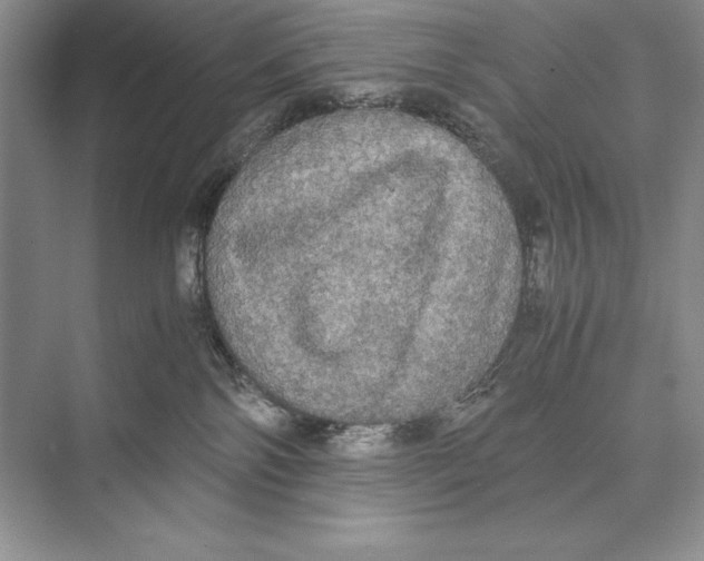 X0000072520138200608111730