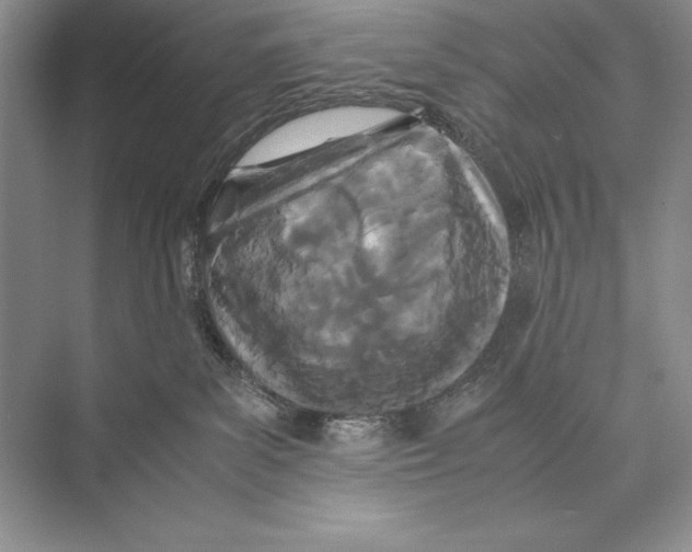 X0000072520139200608111730