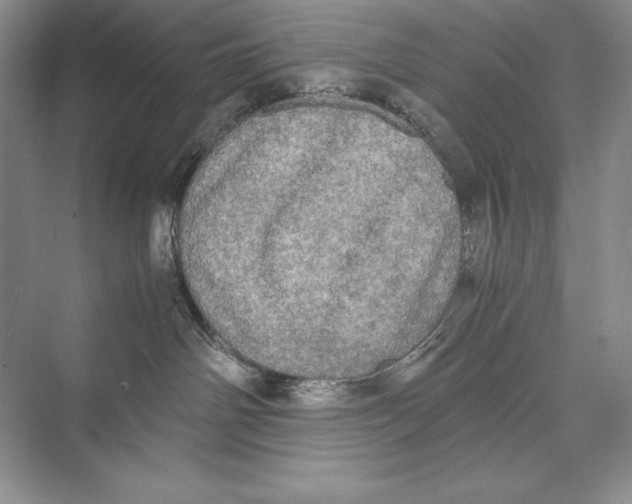 X0000072520142200608111730