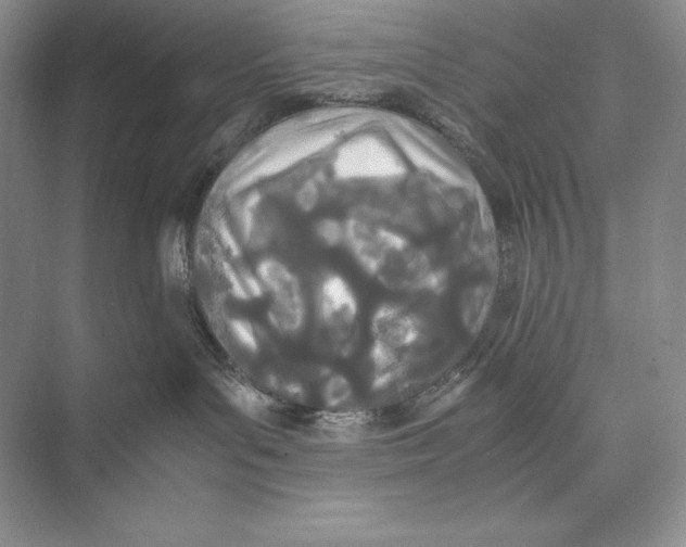 X0000072520143200608111730