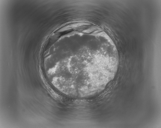 X0000072520145200608111729