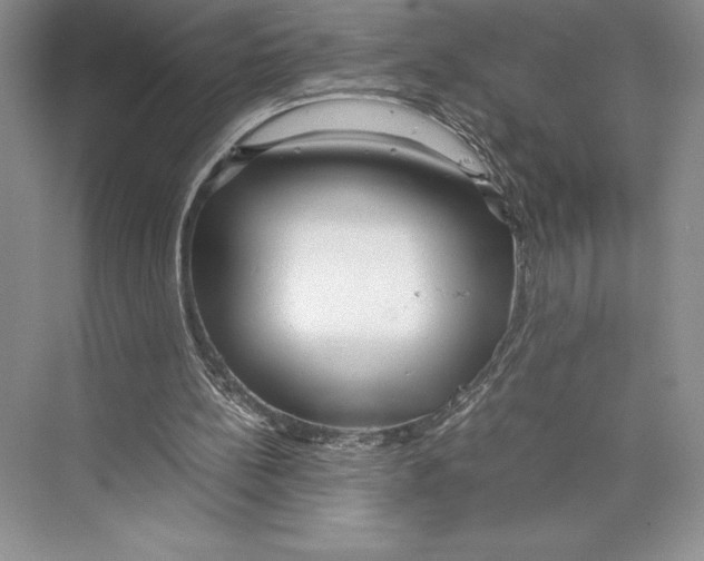 X0000072520148200608111729