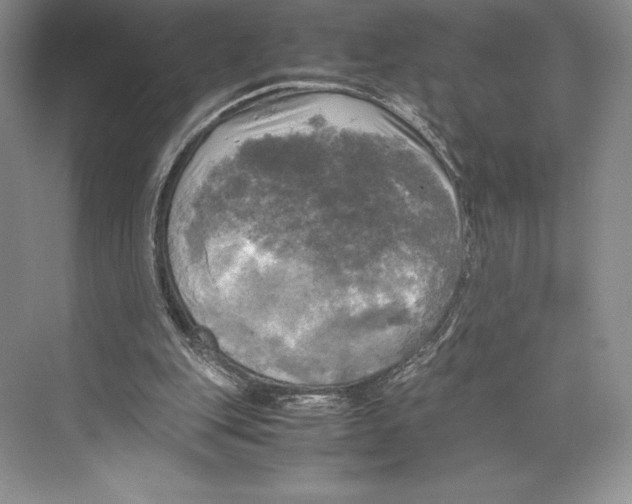 X0000072520151200608111729