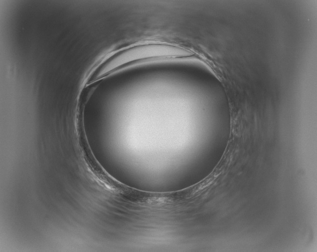 X0000072520152200608111729