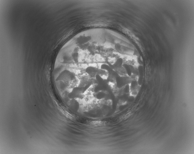 X0000072520153200608111729