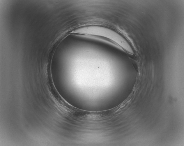 X0000072520154200608111729