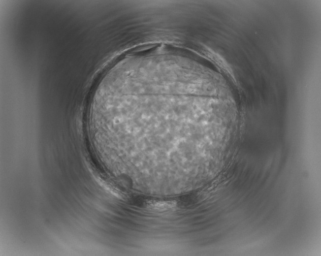 X0000072520155200608111729