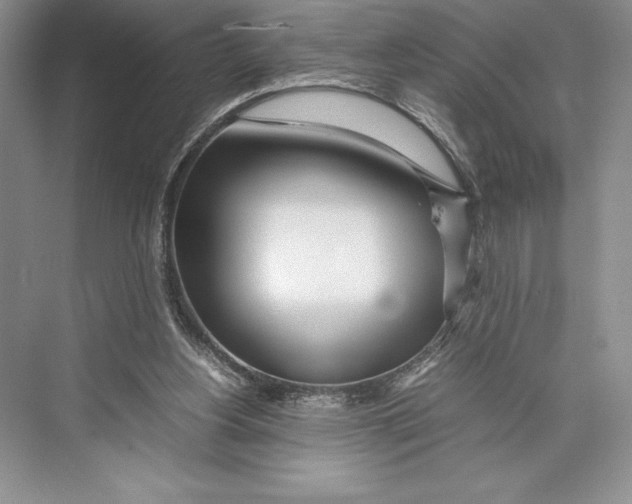 X0000072520156200608111729