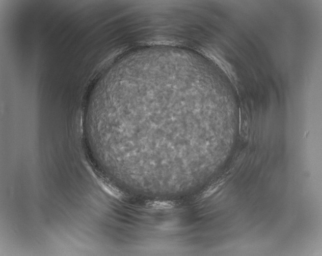 X0000072520157200608111729