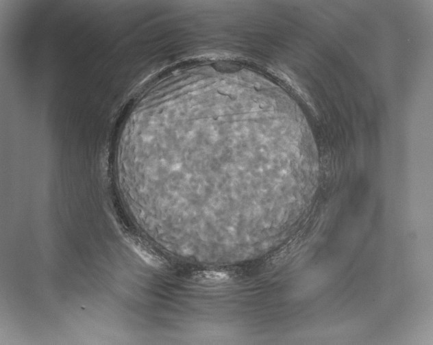 X0000072520159200608111729