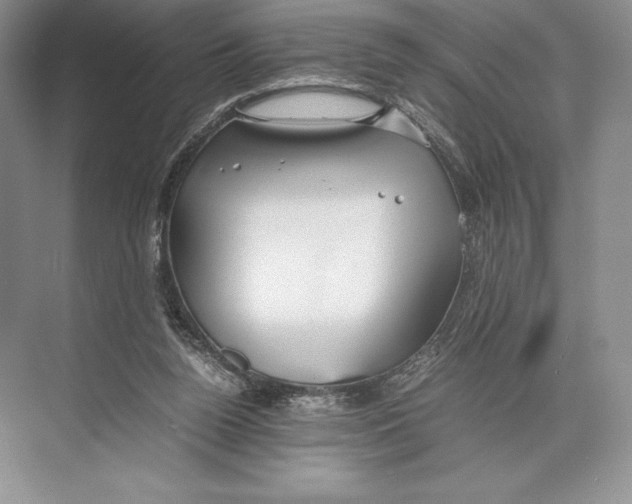 X0000072520160200608111729