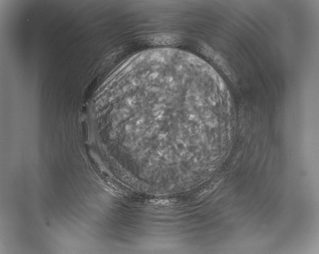 X0000072520161200608111729