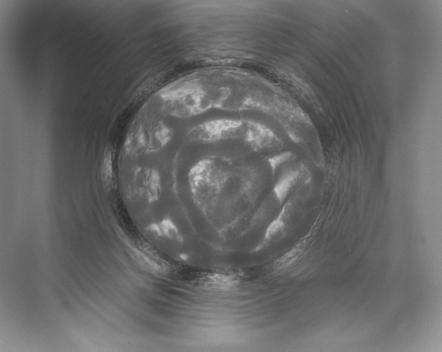 X0000072520166200608111729