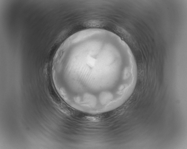 X0000072520167200608111729