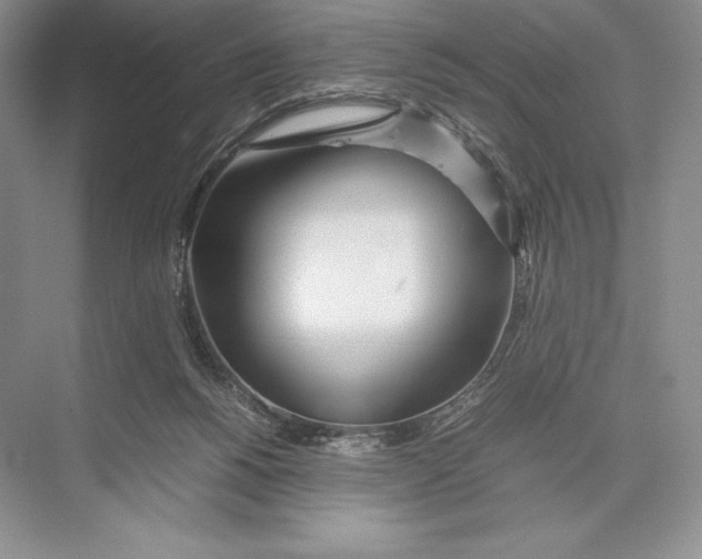 X0000072520168200608111729