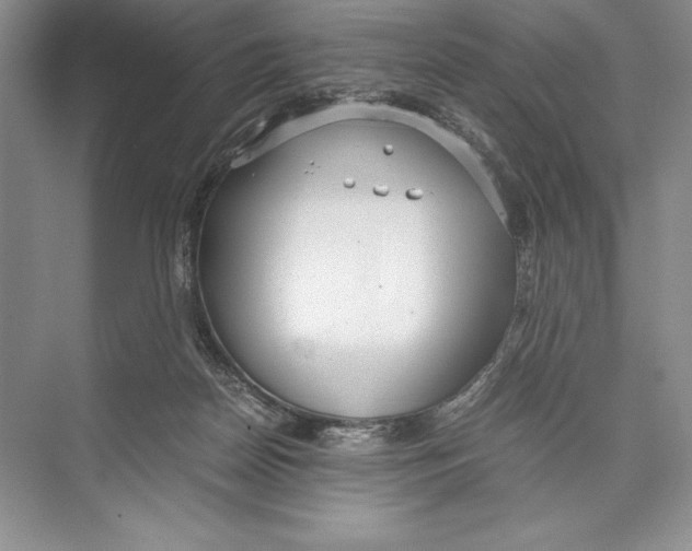 X0000072520170200608111729