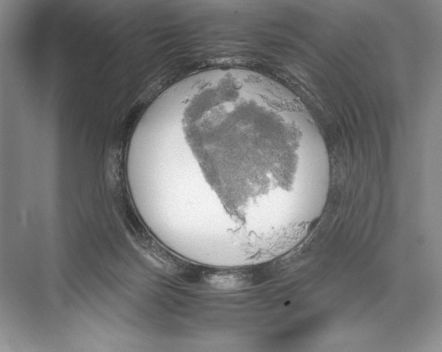 X0000072520171200608111729