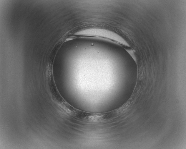 X0000072520172200608111729