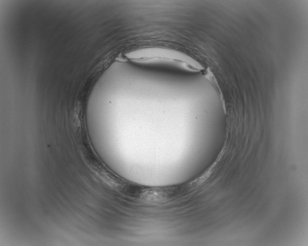 X0000072520174200608111729